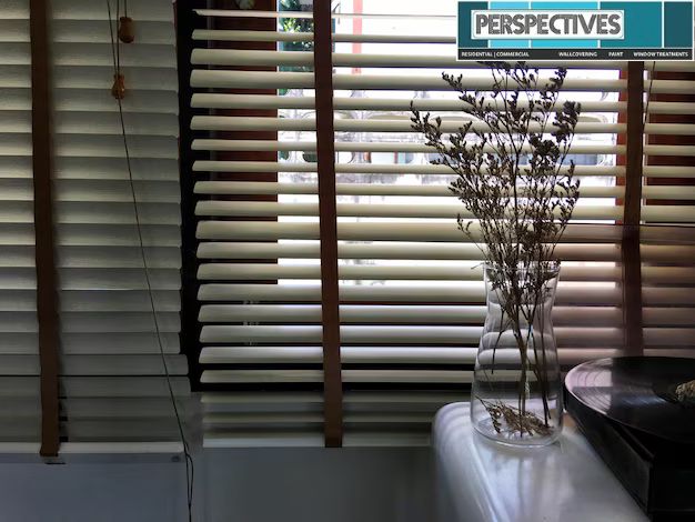 Elevate Your Space With Roller Shades For Windows In Lexington